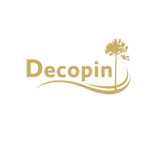 Dcopin Logo