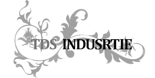 TDS Industrie Logo